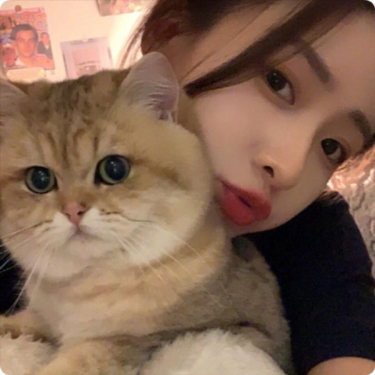武井咲（饰 神谷熏） - 猪蜜蜜电视剧大全在线观看11 - 电脑视频